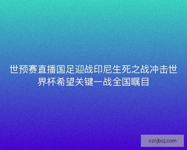 世预赛直播国足迎战印尼生死之战冲击世界杯希望关键一战全国瞩目