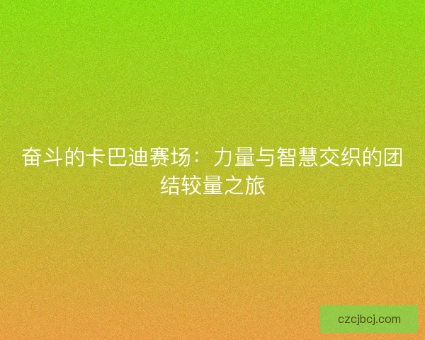 奋斗的卡巴迪赛场：力量与智慧交织的团结较量之旅