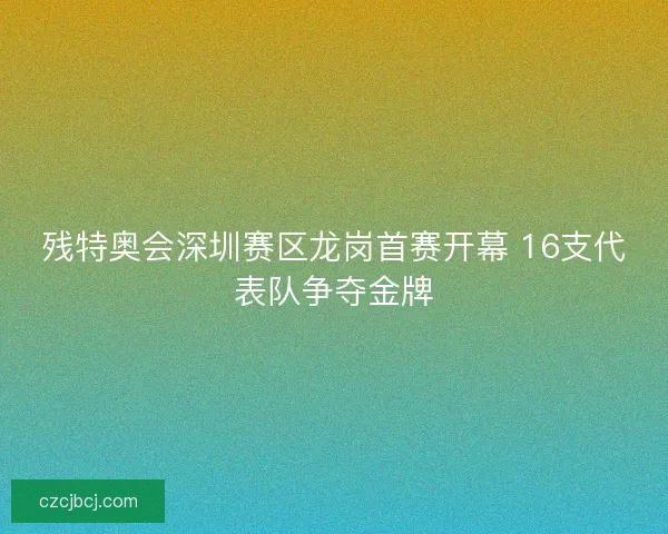 残特奥会深圳赛区龙岗首赛开幕 16支代表队争夺金牌